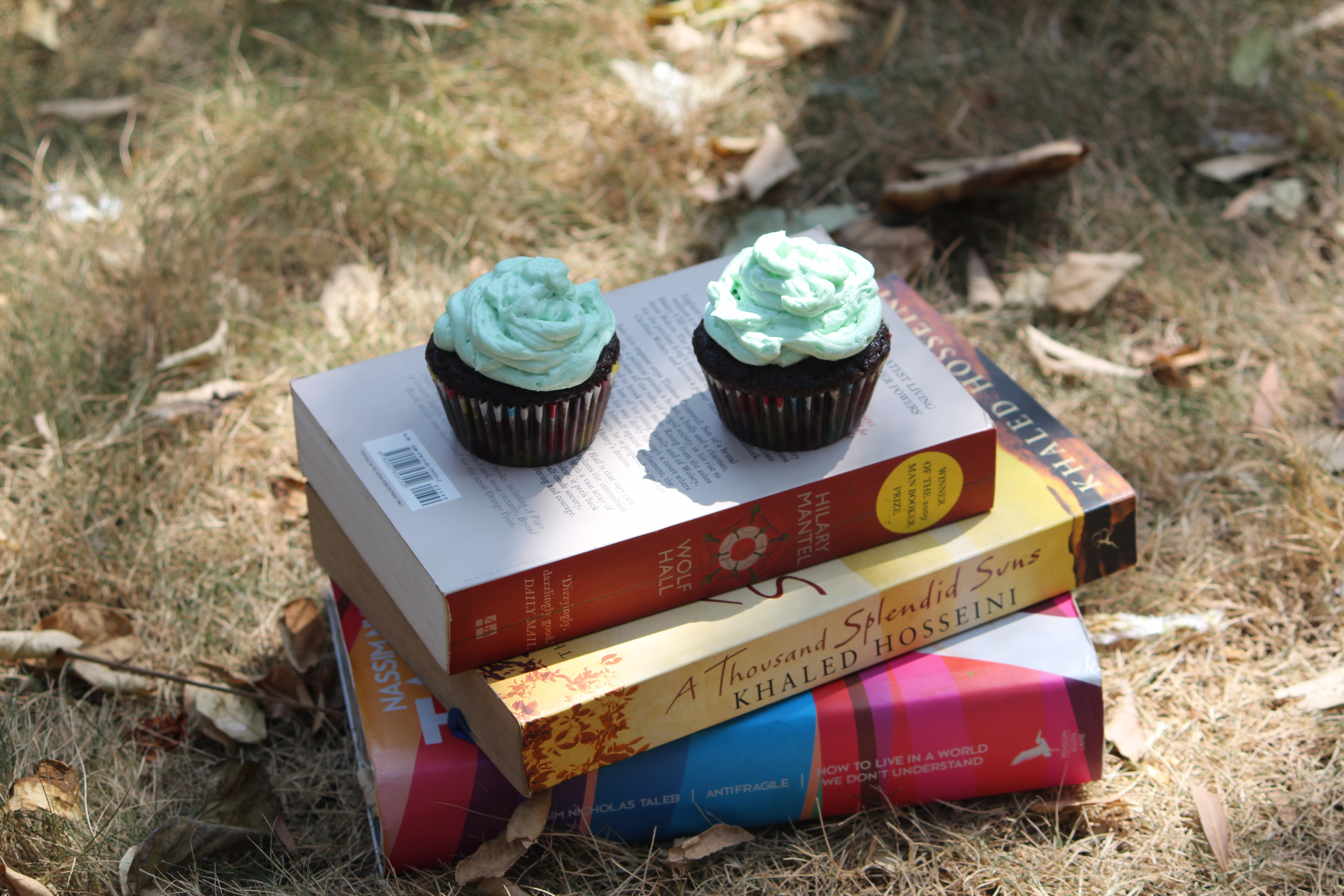 Chocolate Cupcake with Mint Frosting