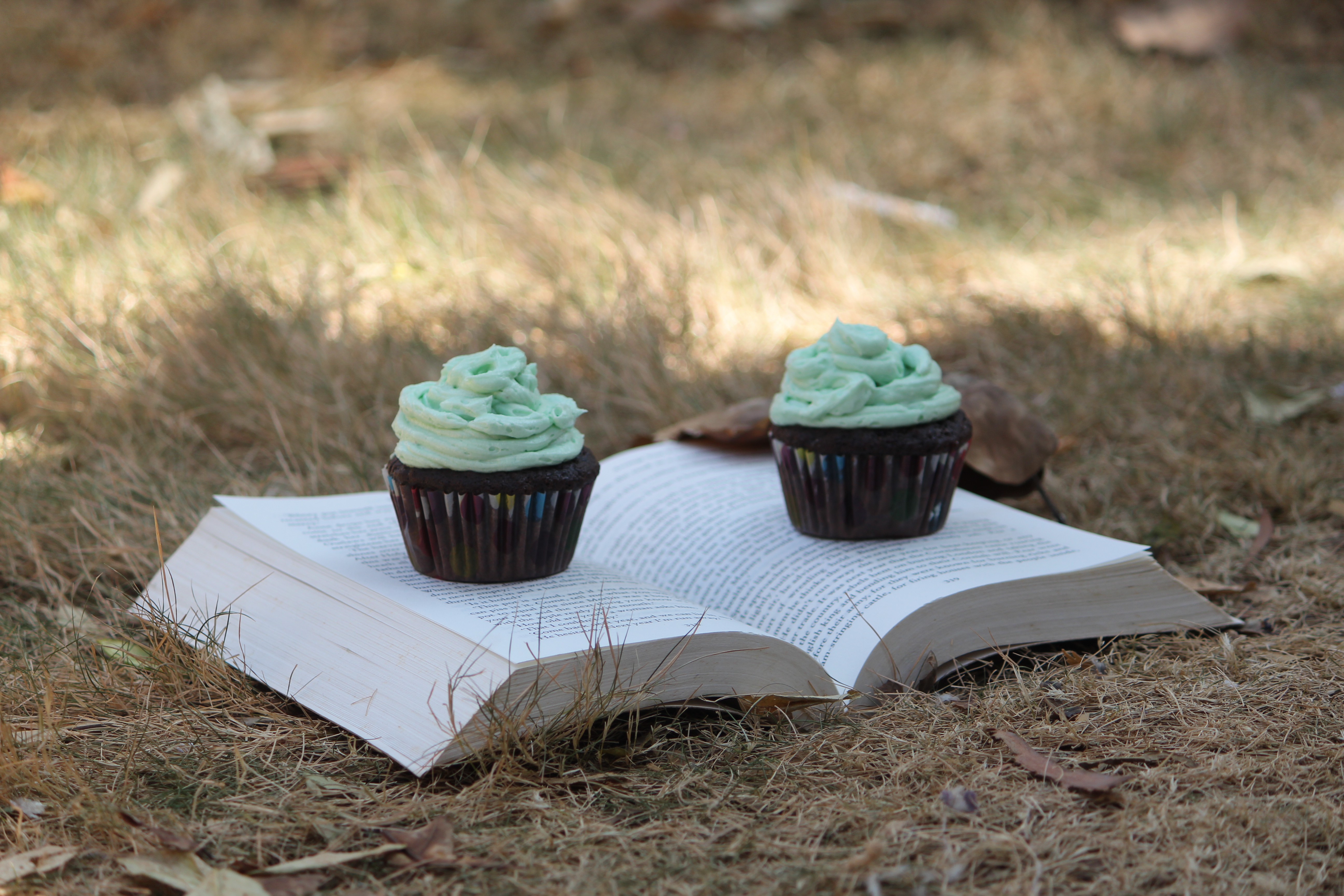 Chocolate Cupcake with Mint Frosting