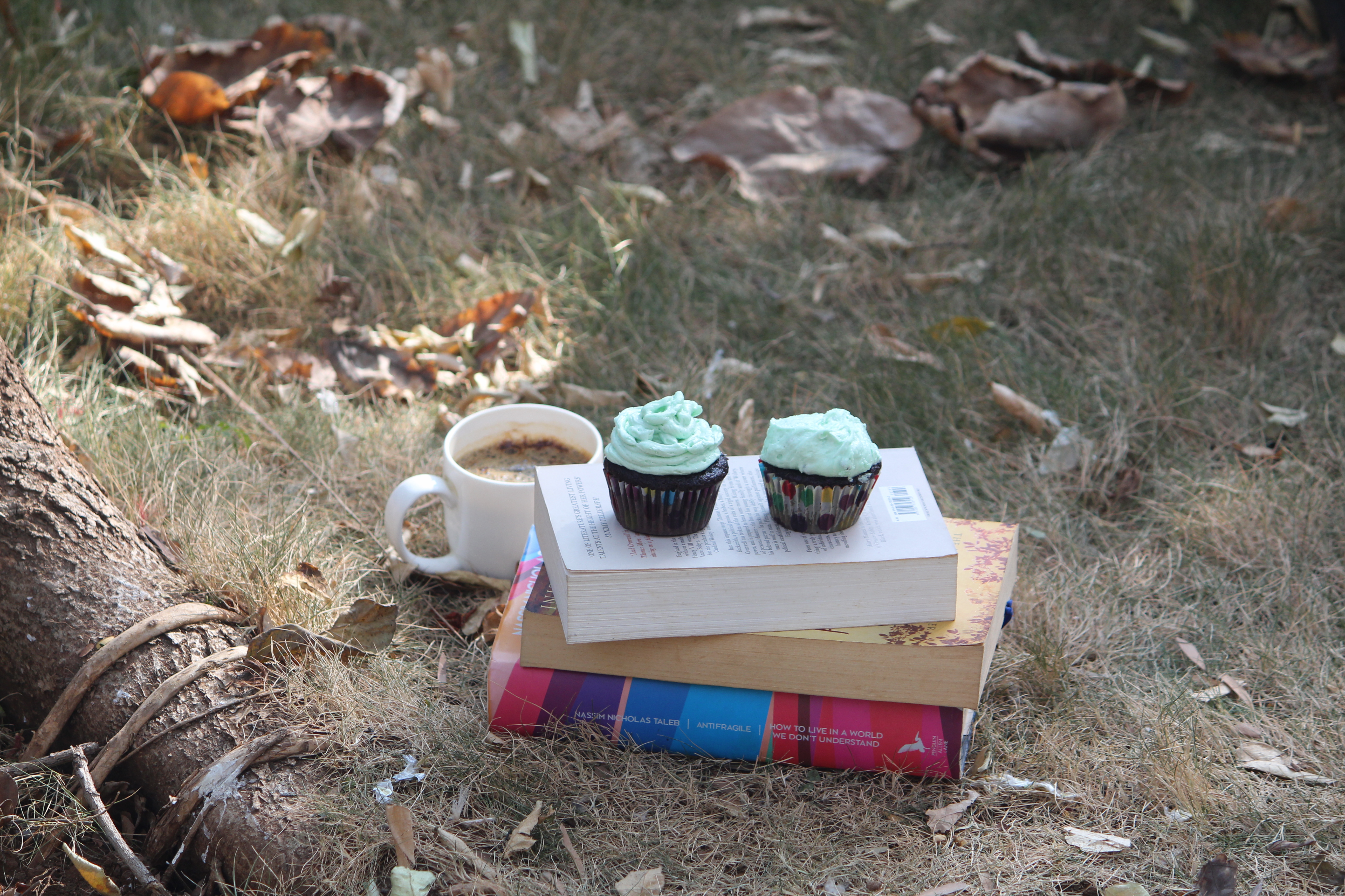 Chocolate Cupcake with Mint Frosting