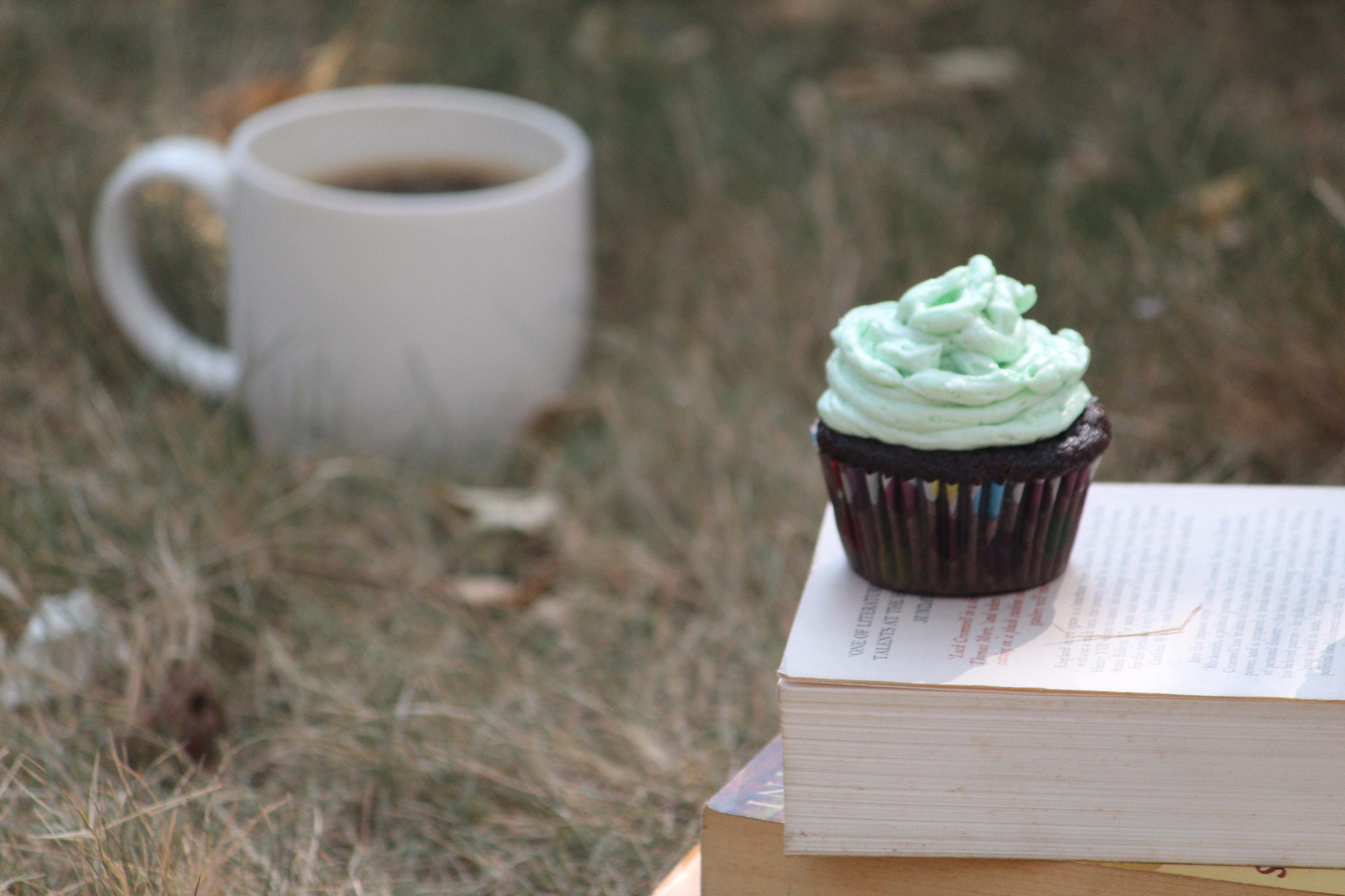 Chocolate Cupcake with Mint Frosting