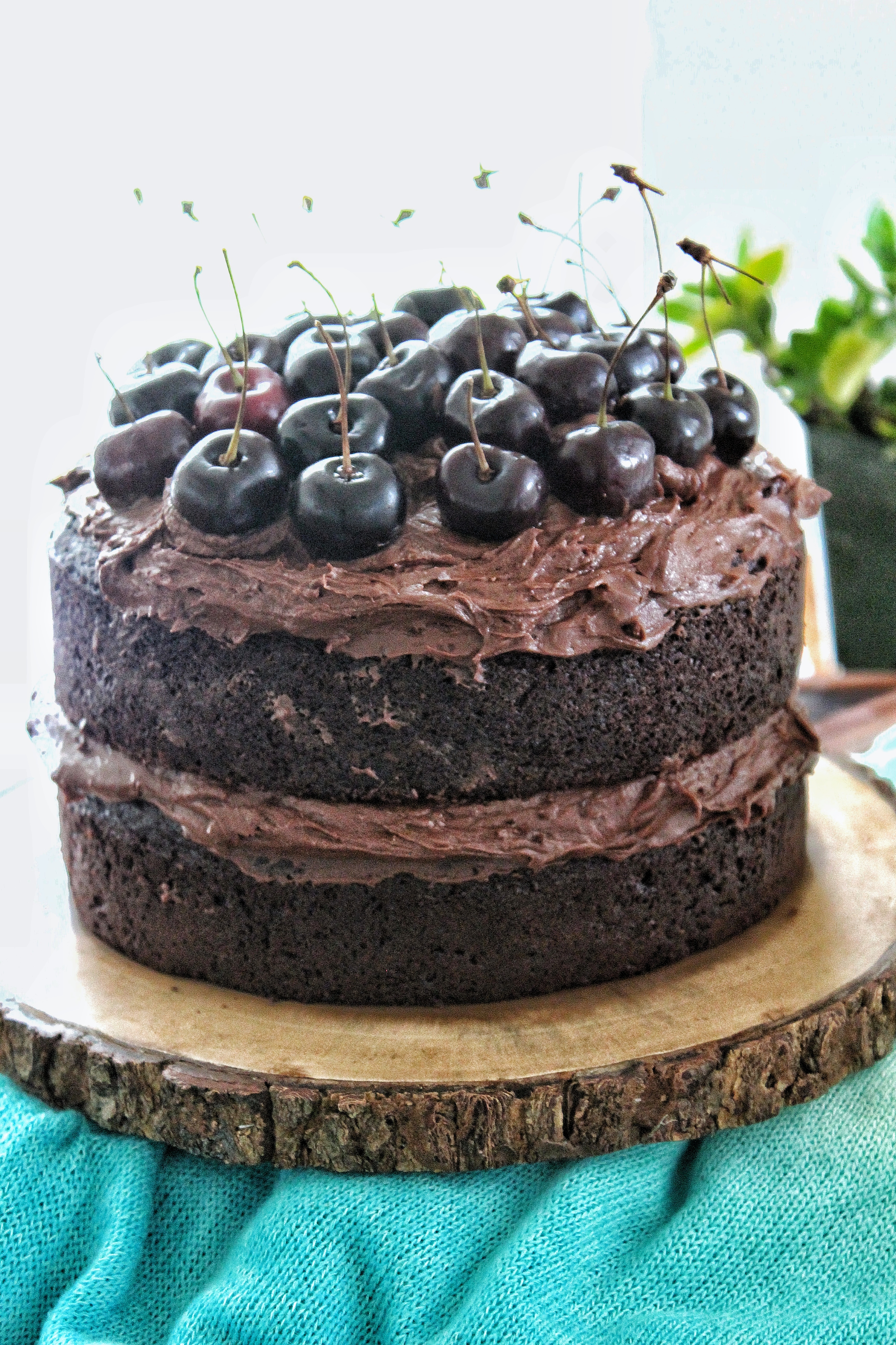 Chocolate Cake with Best Ever Frosting