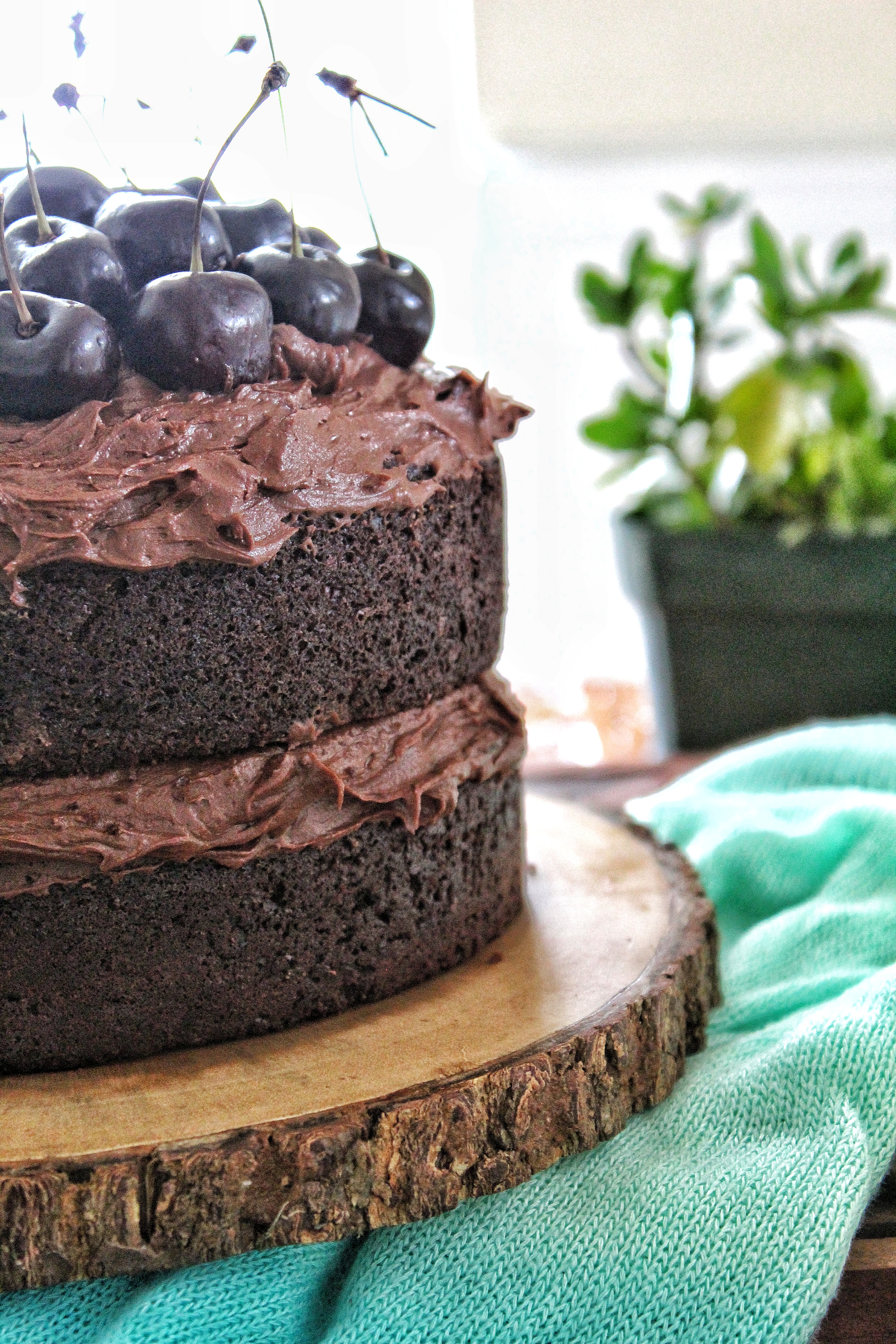 Chocolate Cake with Best Ever Frosting