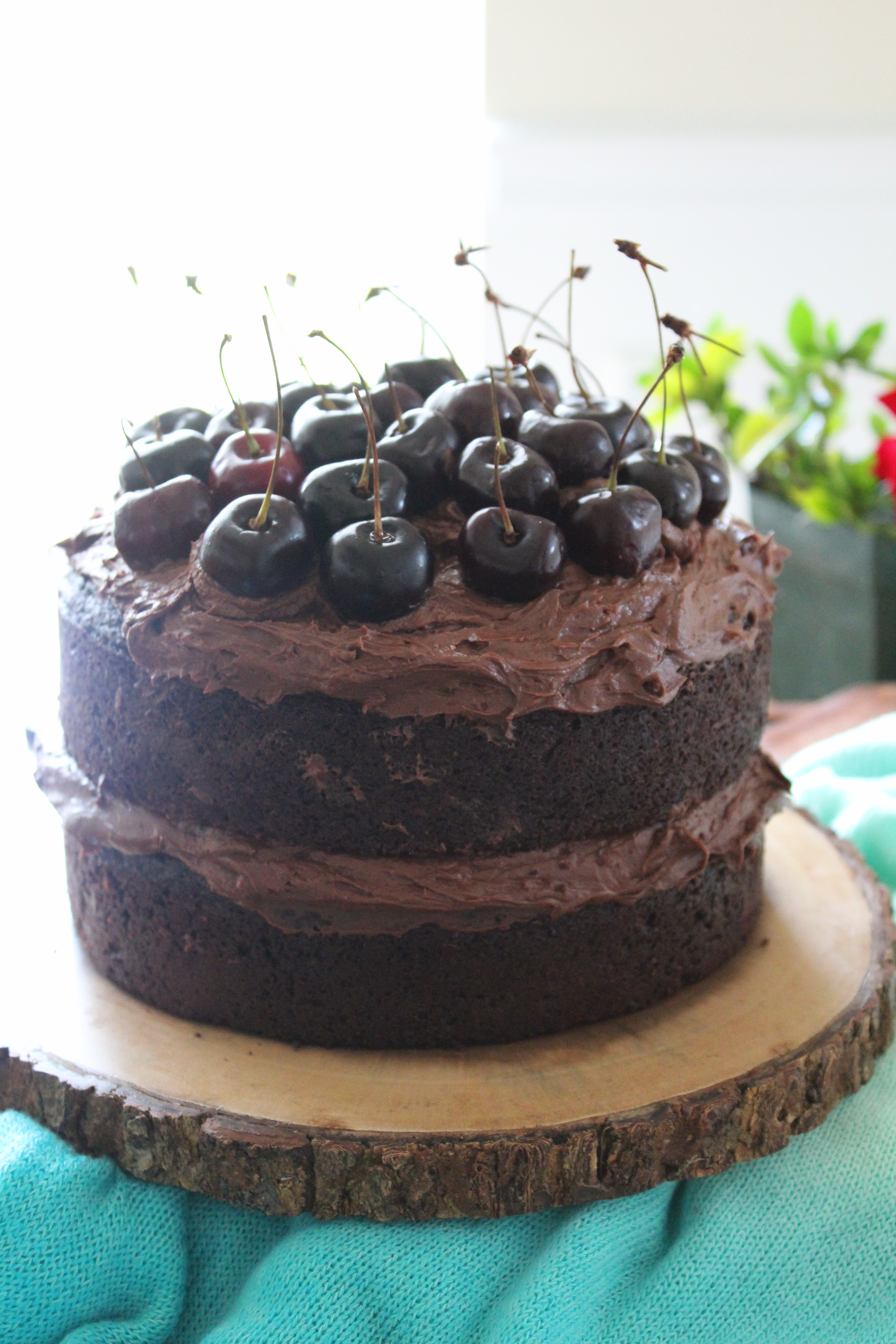 Chocolate Cake with Best Ever Frosting